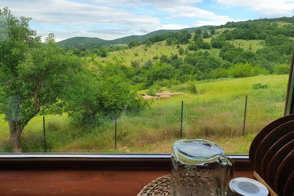 Luxury Villa Bella Lyaskovo Village Kültér fotó